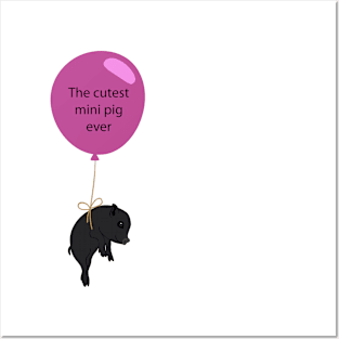 Flying Black Mini Pig Posters and Art